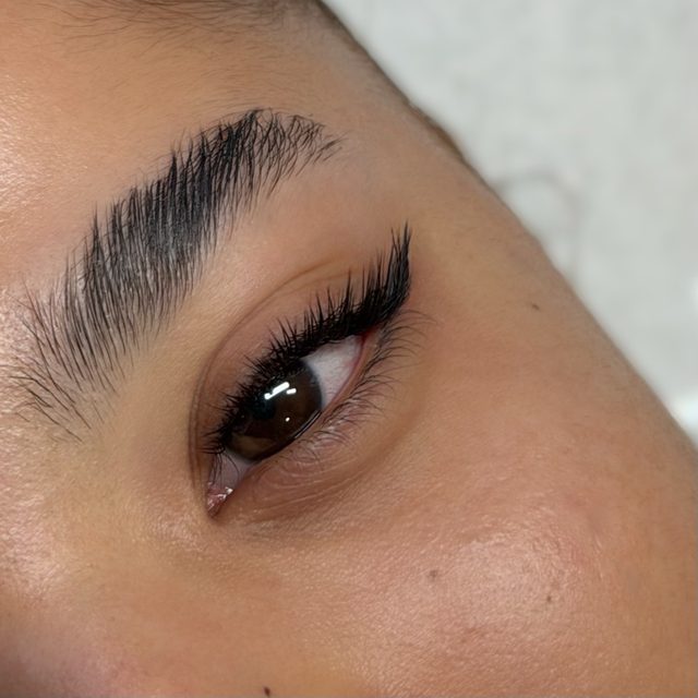 Gros plan sourcil et cils après une prestation chez Ramara Beauty